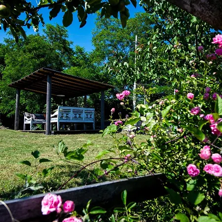 261 - Ulivo, Terrazza, Giardino E Piscina - Cherry House Apartment