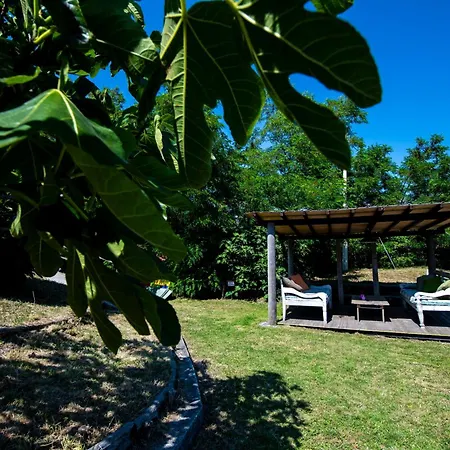 Apartment 261 - Ulivo, Terrazza, Giardino E Piscina - Cherry House